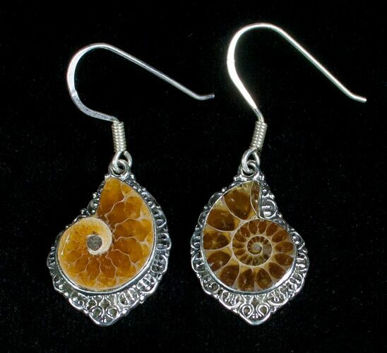Stylish Ammonite Earrings - Sterling Silver #5106